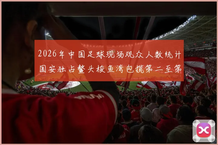 2026年中国足球现场观众人数统计国安独占鳌头梭鱼湾包揽第二至第七位