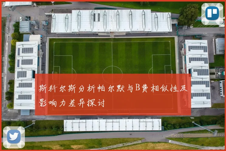 斯科尔斯分析帕尔默与B费相似性及影响力差异探讨